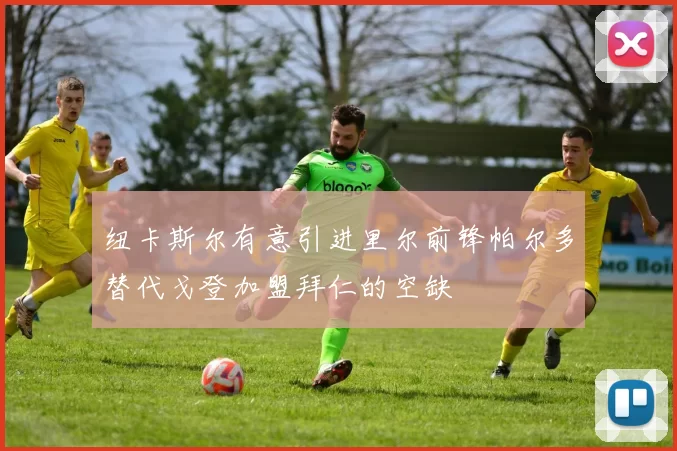 纽卡斯尔有意引进里尔前锋帕尔多替代戈登加盟拜仁的空缺
