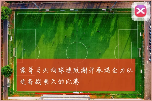 蒙哥马利向球迷致谢并承诺全力以赴备战明天的比赛