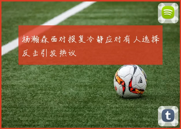 杨瀚森面对报复冷静应对有人选择反击引发热议