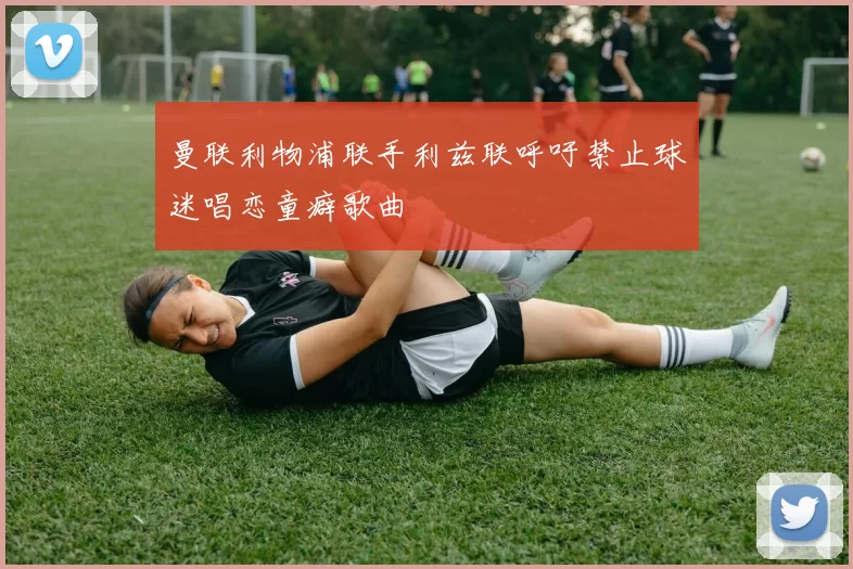 曼联利物浦联手利兹联呼吁禁止球迷唱恋童癖歌曲