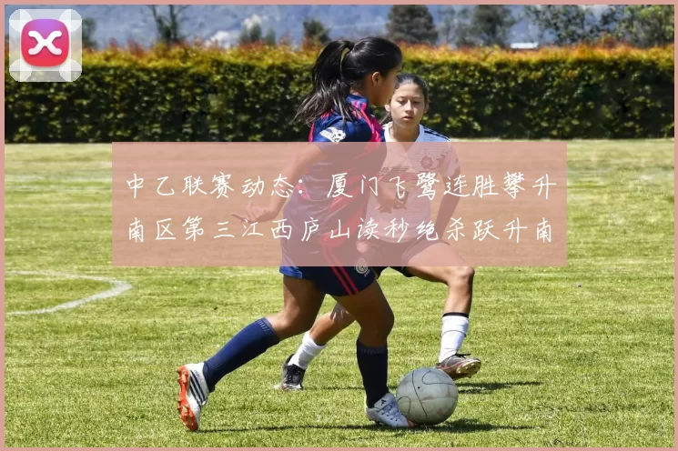 中乙联赛动态：厦门飞鹭连胜攀升南区第三江西庐山读秒绝杀跃升南区第四
